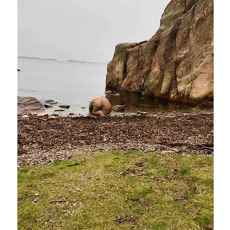 Apartmán Verftet Søgne